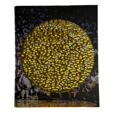 Courtside: 40 Years of NBA Photography