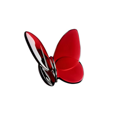 Lucky Butterfly