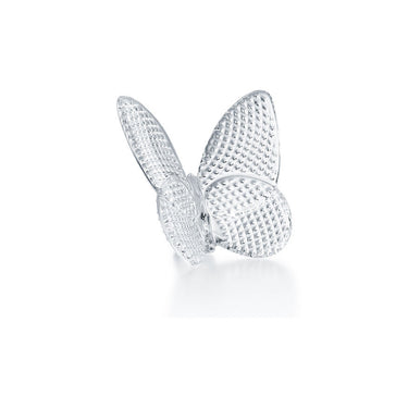 Lucky Butterfly