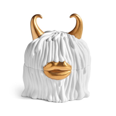 Haas Lynda Box & Plates, Set of 4