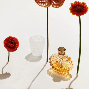 Anemones Votive, Clear