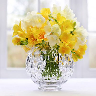 Victoria Vase with Center Insert