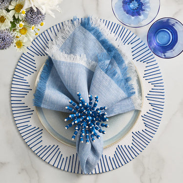 Chambray Fringe Napkin, Set of 4