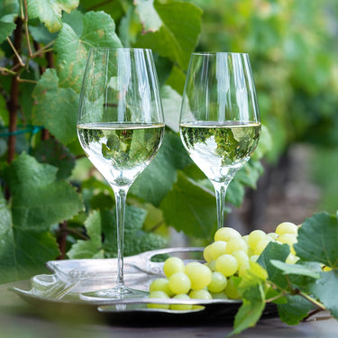 Oeno Wine Glass, 17 oz