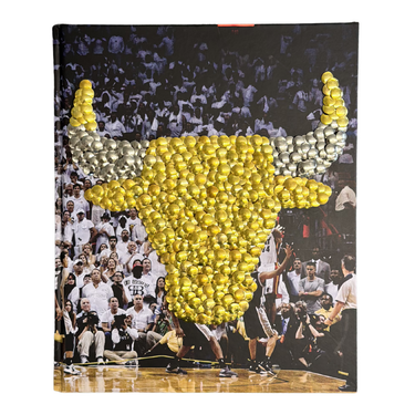 Courtside: Chicago Bulls
