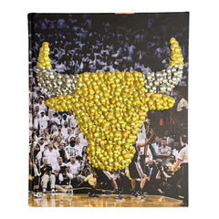 Courtside: Chicago Bulls