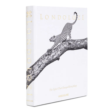 Londolozi: The Safari That Changed Everything