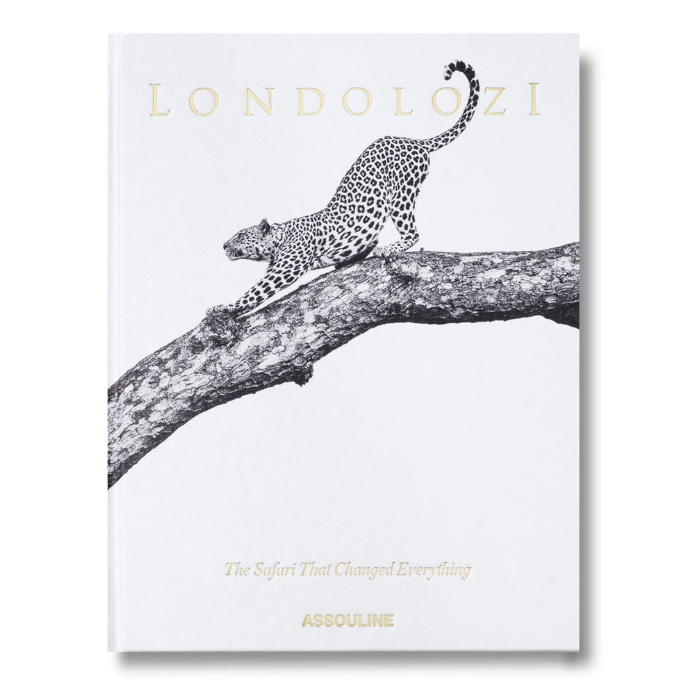 Londolozi: The Safari That Changed Everything