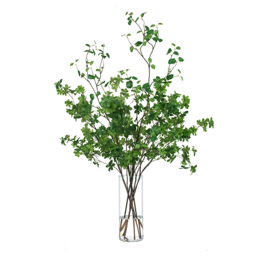 https://cdn.shopify.com/s/files/1/0748/9080/5559/files/BranchingOut.png?v=1693330442