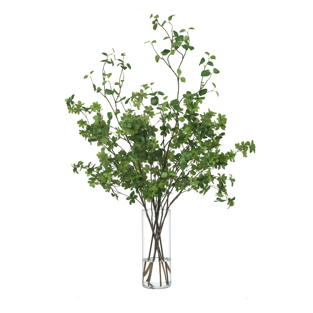 Branching Out