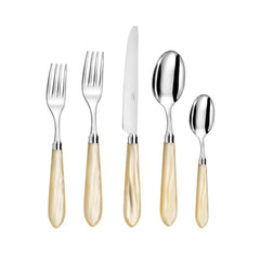 Omega 5 Piece Place Setting, Iridescent White (Pearl)