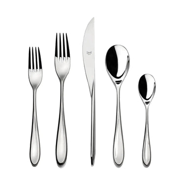 Forma Stainless Steel Five Piece Place Setting