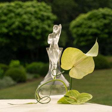 Aphrodite Vintage Decanter