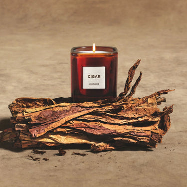 Library Scented Candle, Cigar