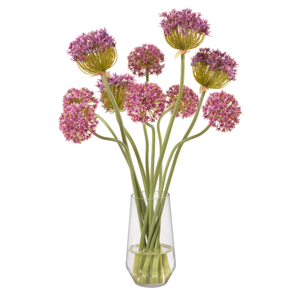Purple Alliums