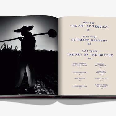 The Art of Tequila: Spirit of Mexico