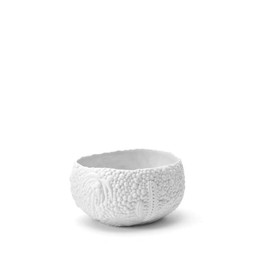 Haas Mojave Dessert Bowl