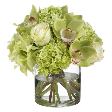 https://cdn.shopify.com/s/files/1/0748/9080/5559/files/hydorc_gls.jpg?v=1753989554