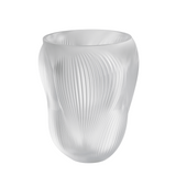 https://cdn.shopify.com/s/files/1/0593/0998/1832/files/lalique-crystal-decorative-objects-alize-large-vase-clear-10856500.png?v=1772012408