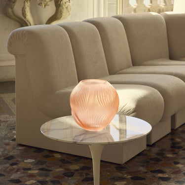 https://cdn.shopify.com/s/files/1/0593/0998/1832/files/lalique-crystal-decorative-objects-alize-vase-clear-patina-coral.jpg?v=1772012706