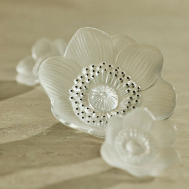 https://cdn.shopify.com/s/files/1/0593/0998/1832/files/lalique-crystal-decorative-objects-anemones-sculpture.jpg?v=1771842351