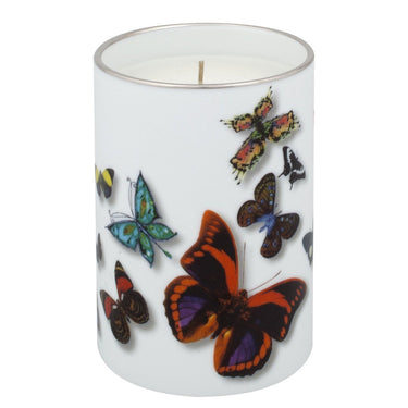 Butterfly Parade Candle