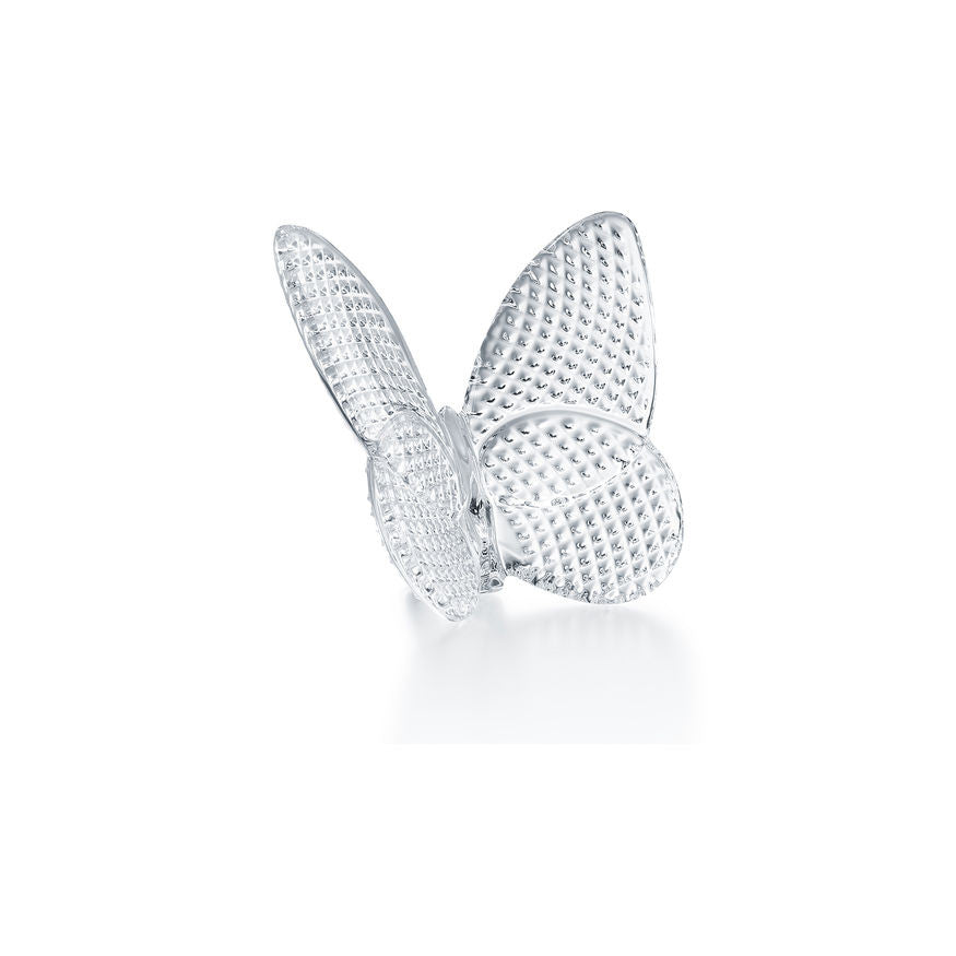 Lucky Butterfly