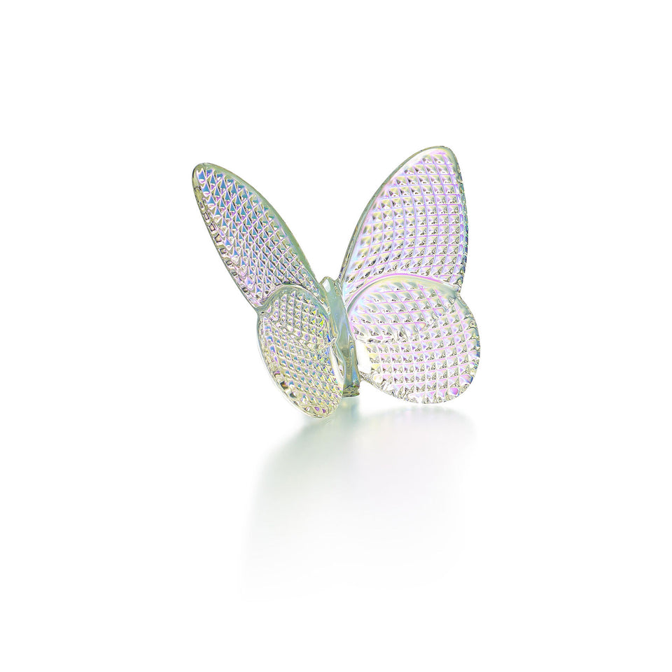 Papillion Lucky Butterfly