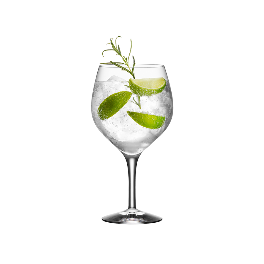 Gin and Tonic Glass, Set of 4 – AnnSandra