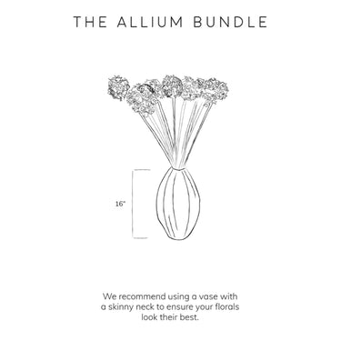 Purple Allium Bundle