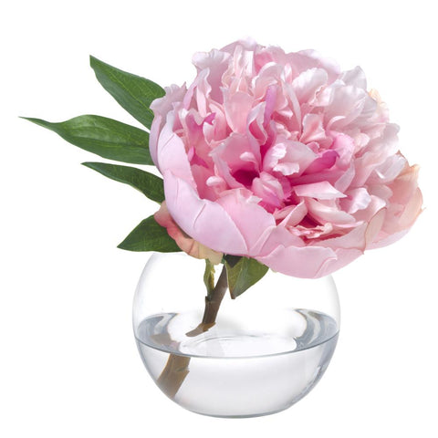 Peony Blossom