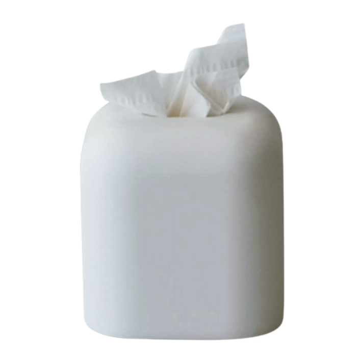 Segment Tissue Box Holder