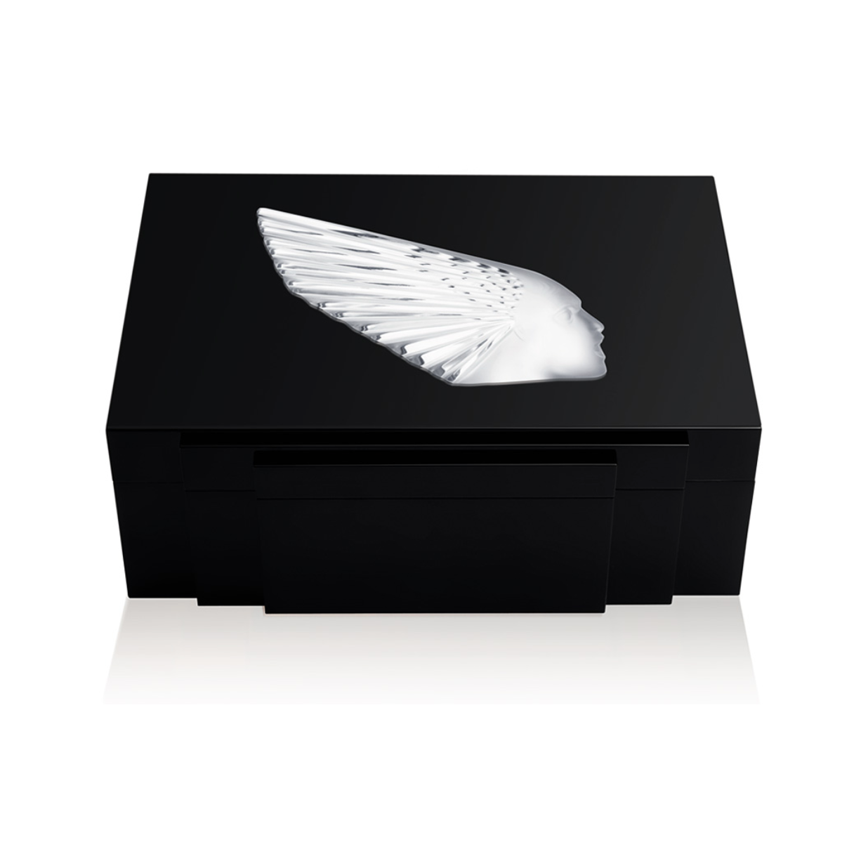 Sandra Box Victoire Cigar Box Numbered Edition – AnnSandra