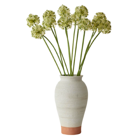 Green Allium Bundle