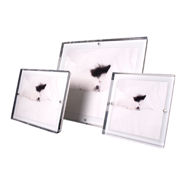 Snap Frame, White