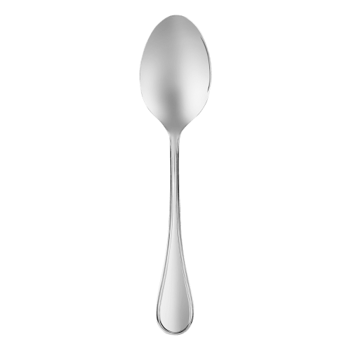 Albi Stainless Steel Serving Spoon
