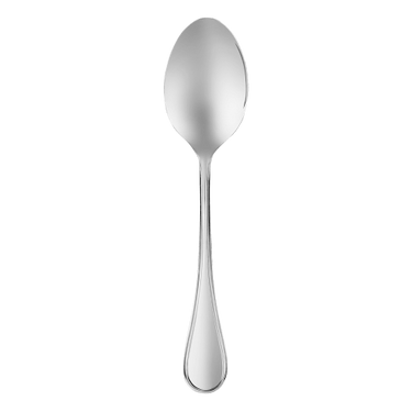Albi Stainless Steel Serving Spoon