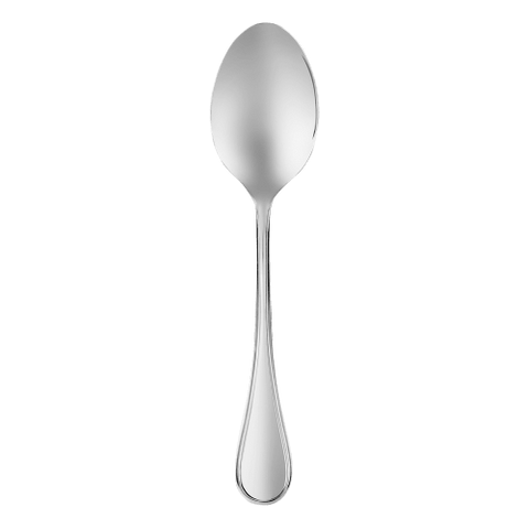 Albi Stainless Steel Serving Spoon