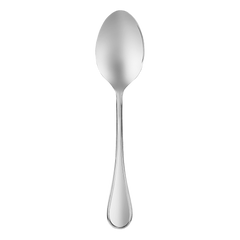 Albi Stainless Steel Serving Spoon